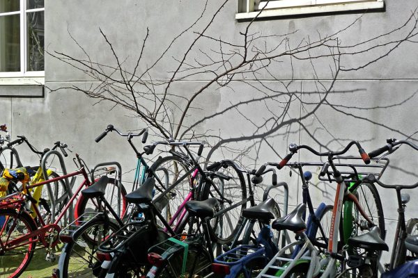 Bicycles parked along a city street
