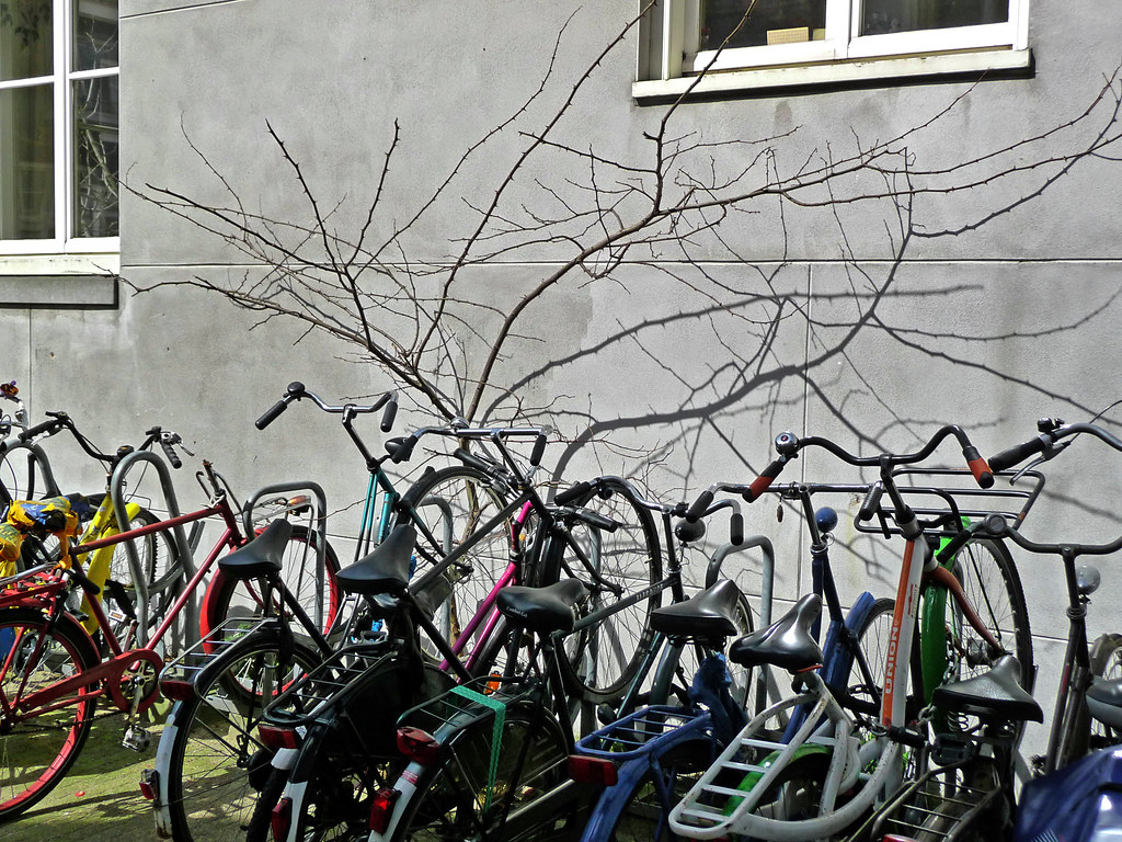 Bicycles parked along a city street