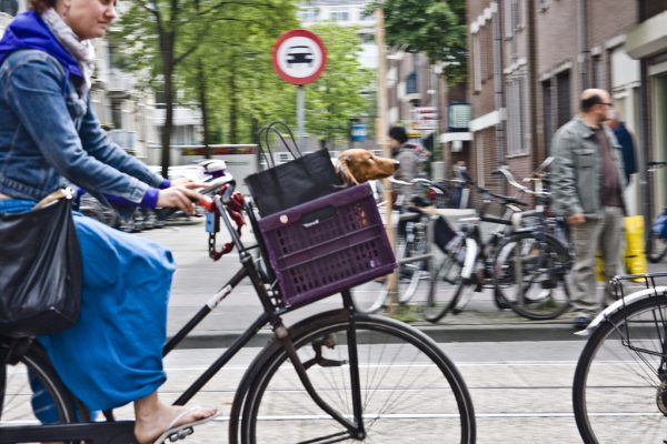 Cyclist in a city with a front-mounted basket carrier on the handlebars