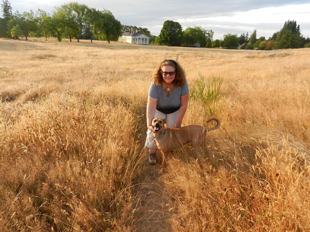 Owner sitting in a field of golden grass with a small young dog