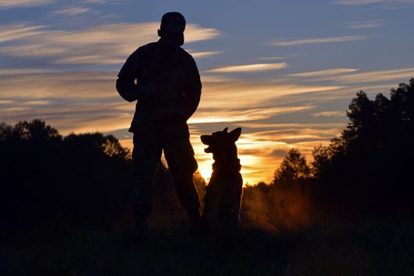 Owner and dog together at sunset during a calm training session