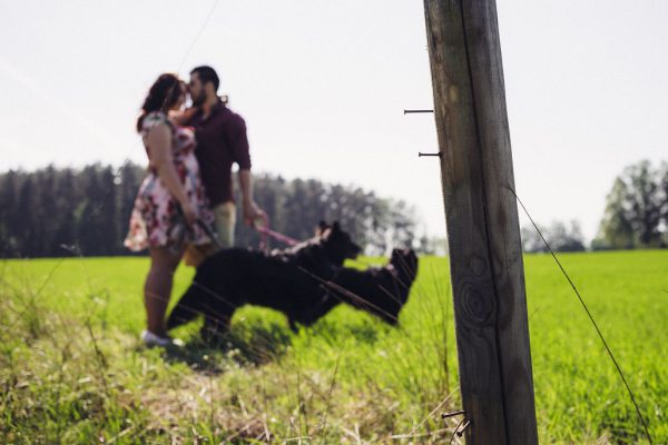 Two people walking in a field with dogs running alongside